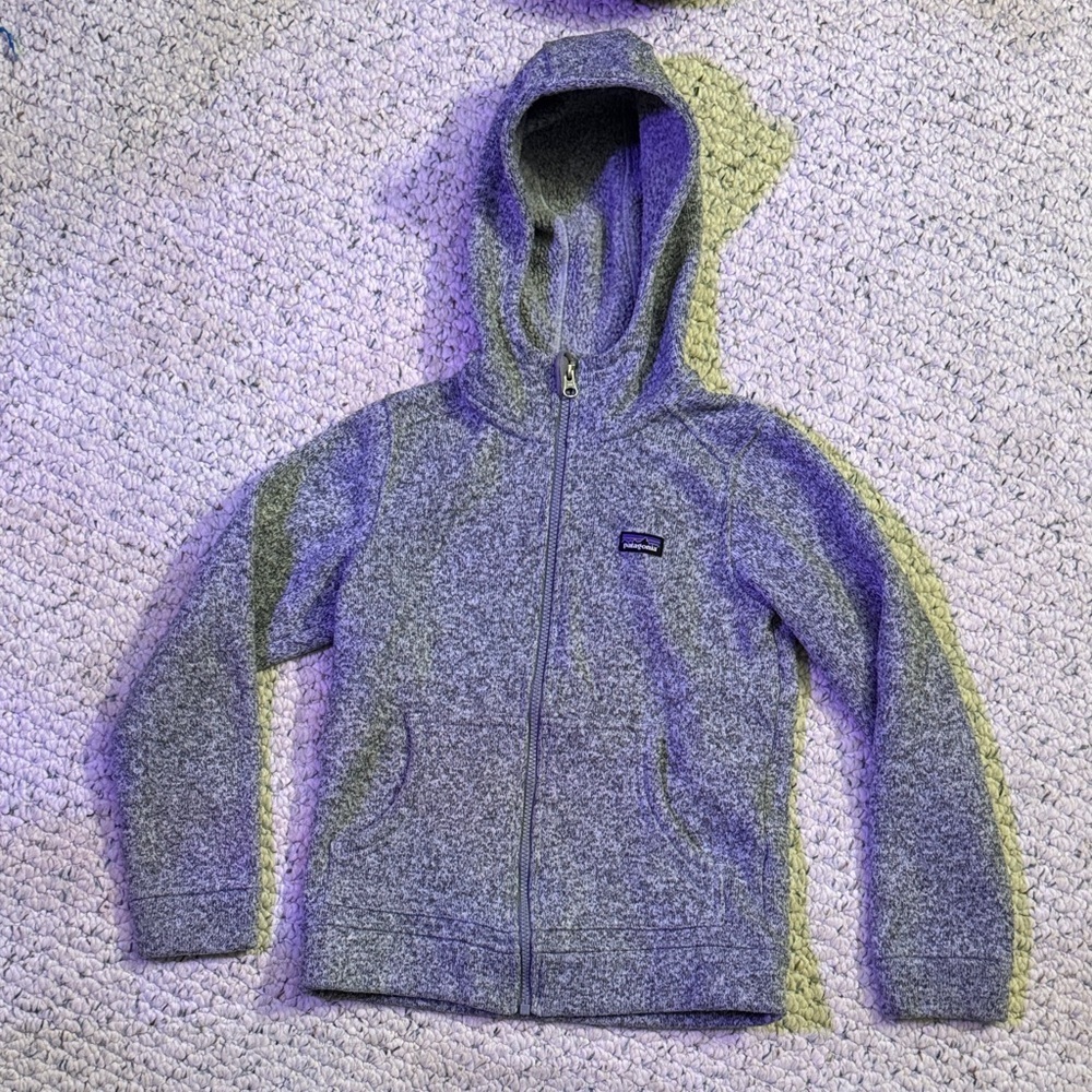 Patagonia Heather Gray Hoodie